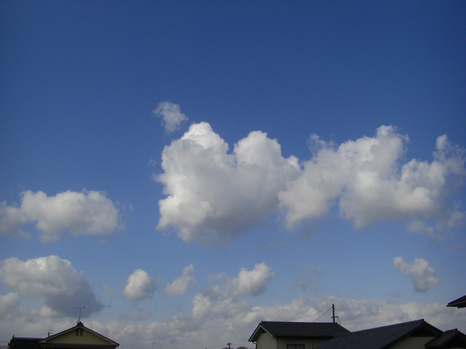 浮雲