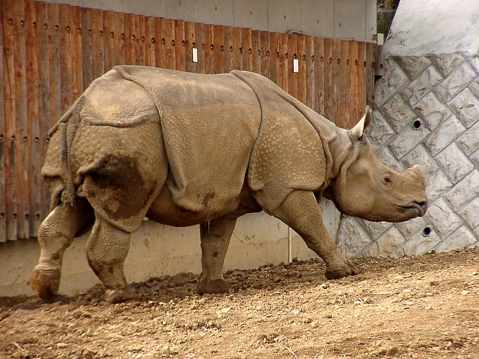 ◆冬の動物園から-28