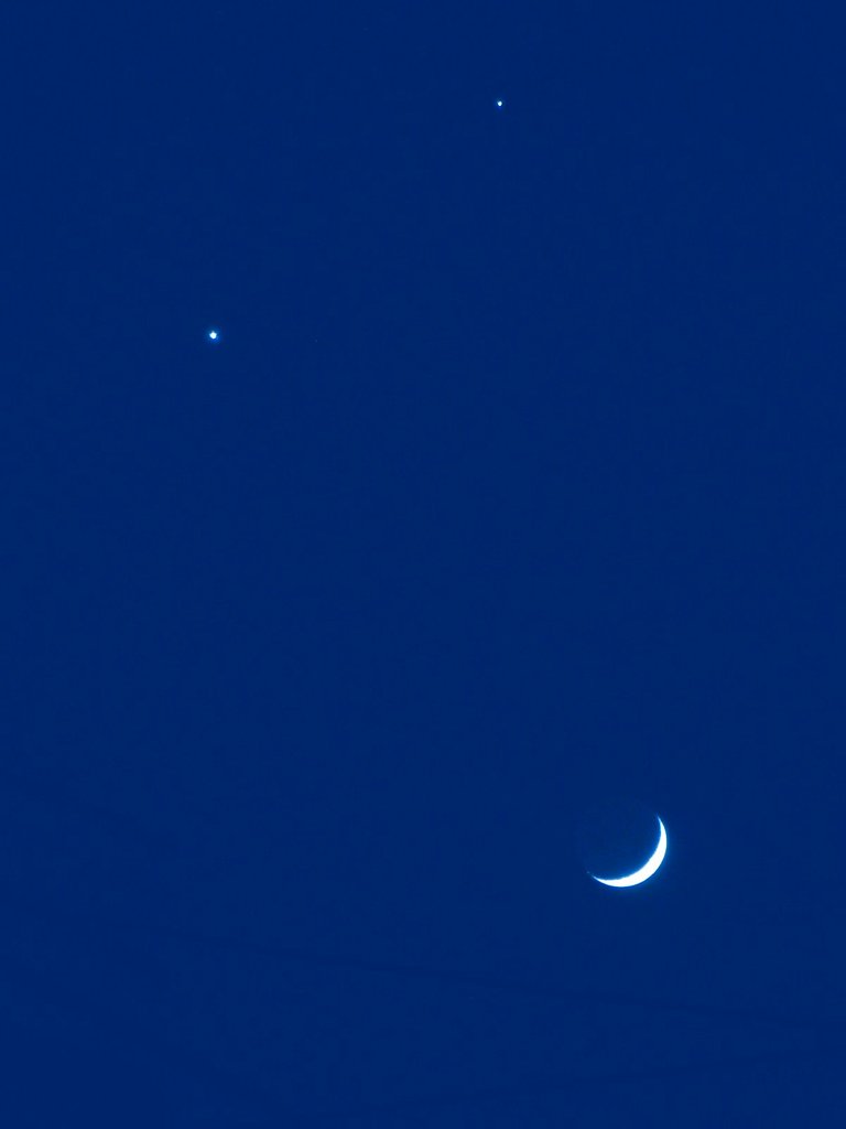 【ザ・ワールド】 星空の微笑み