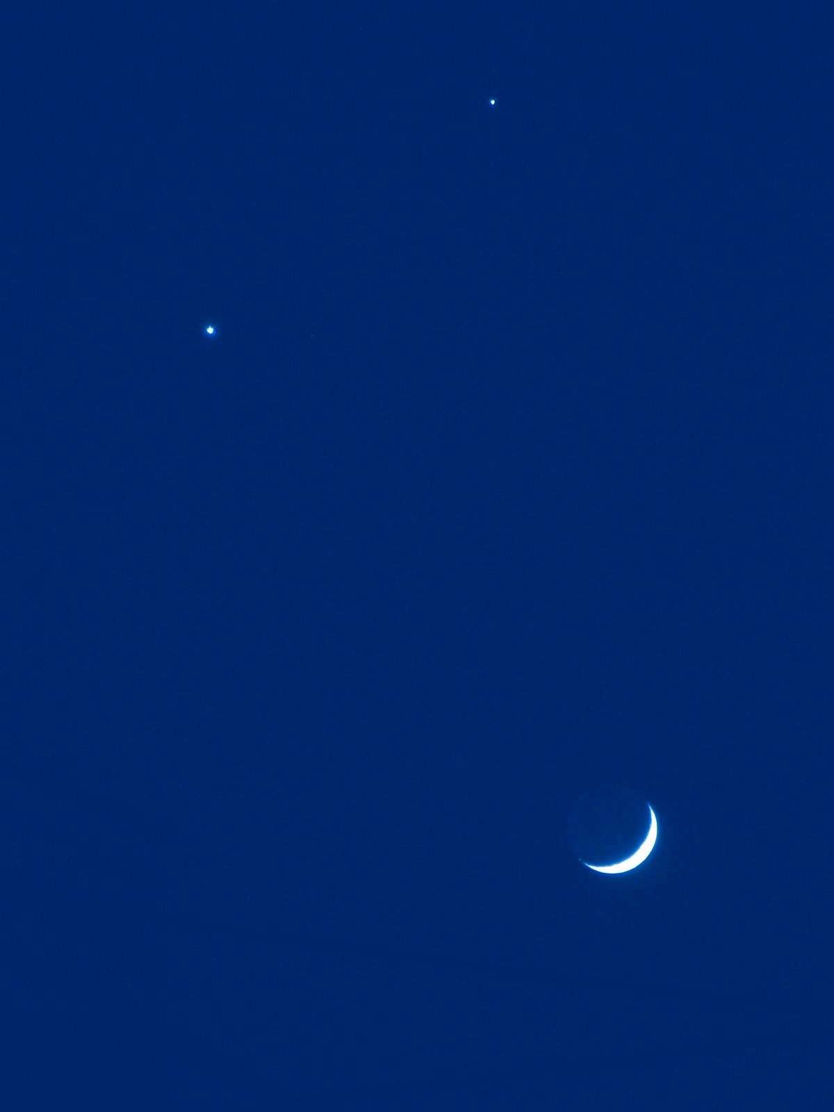 【ザ・ワールド】 星空の微笑み