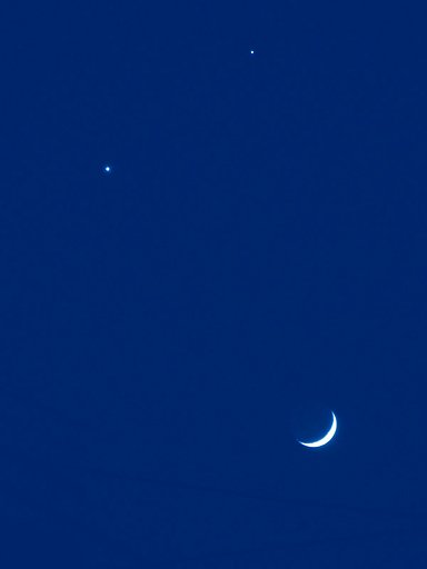 【ザ・ワールド】 星空の微笑み