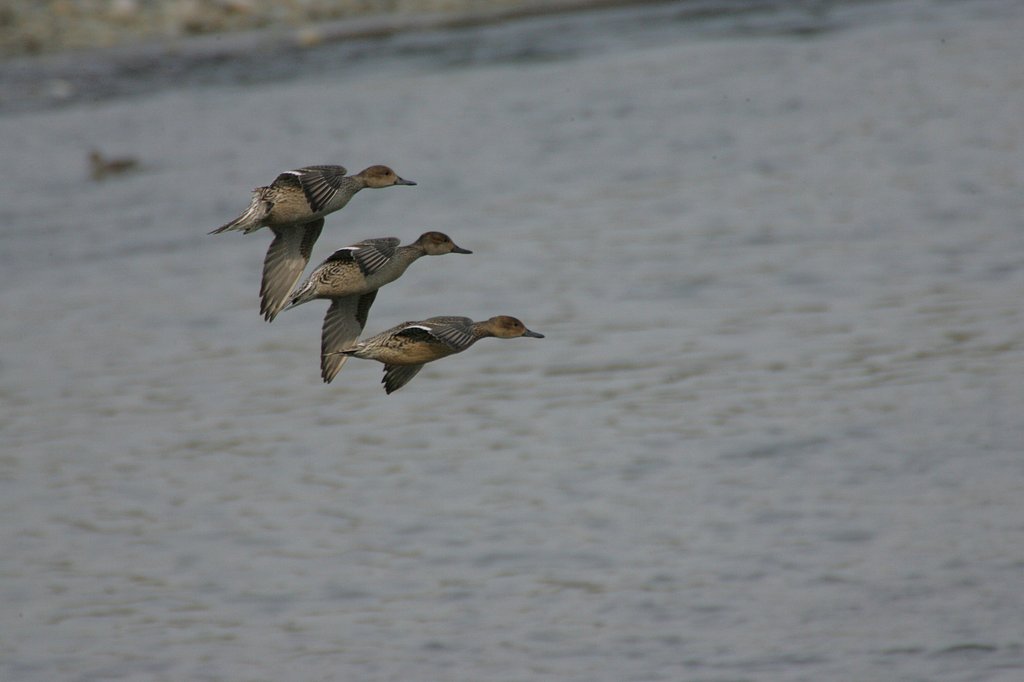 3段重ね