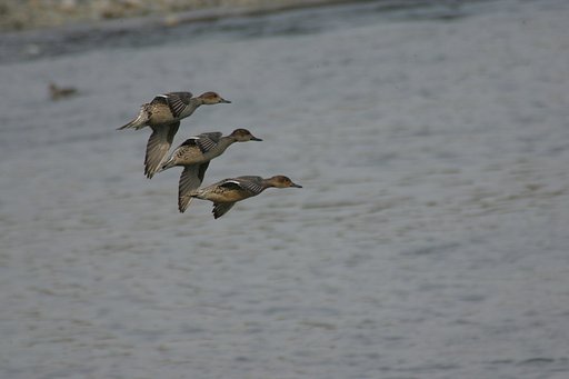 3段重ね