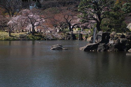 小石川後楽園にて