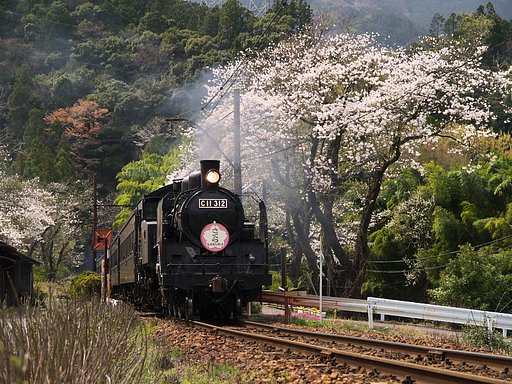 急行さくら