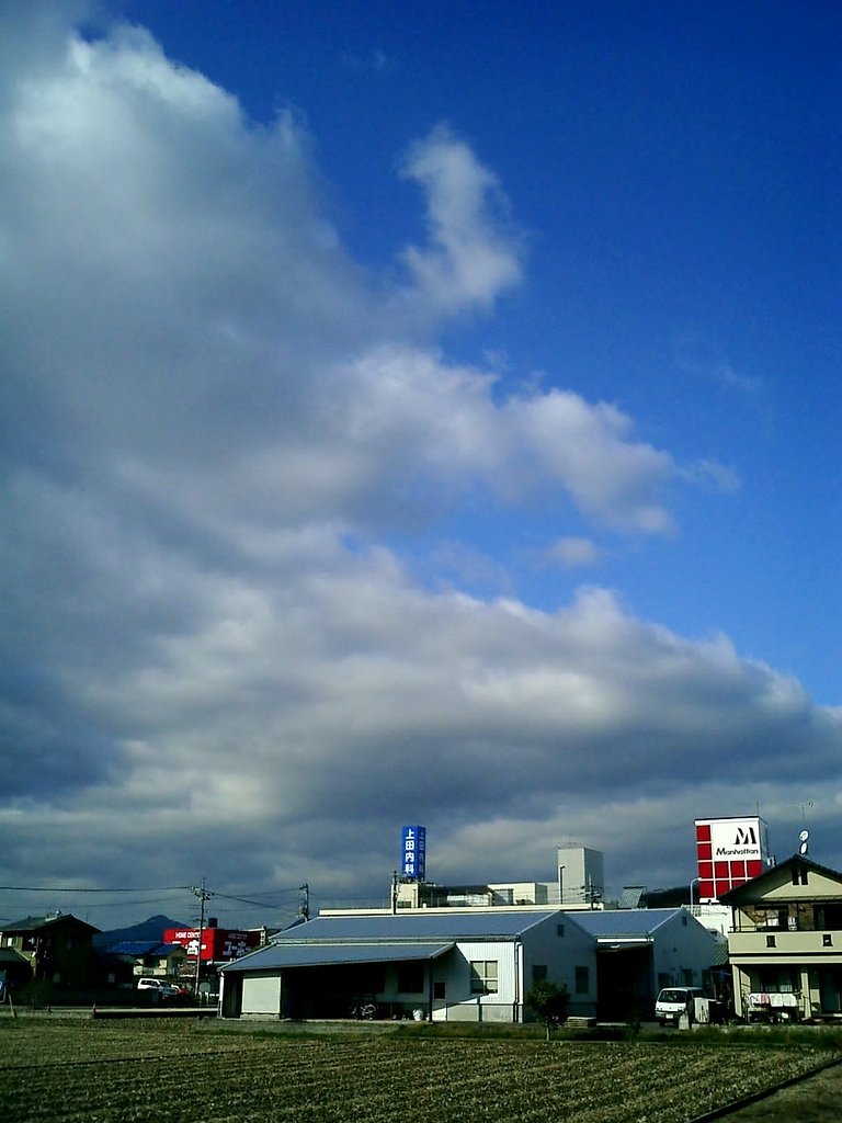 晴れました