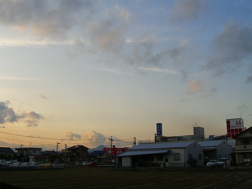 晴れました