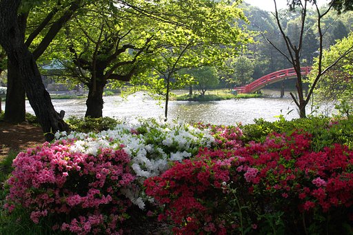 早朝の称名寺