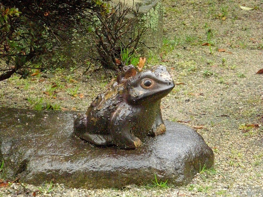 雨にも鳴かず車にも・・