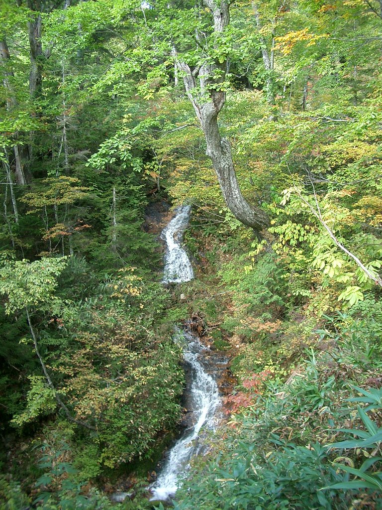 〜　秋の尾瀬‐51　〜