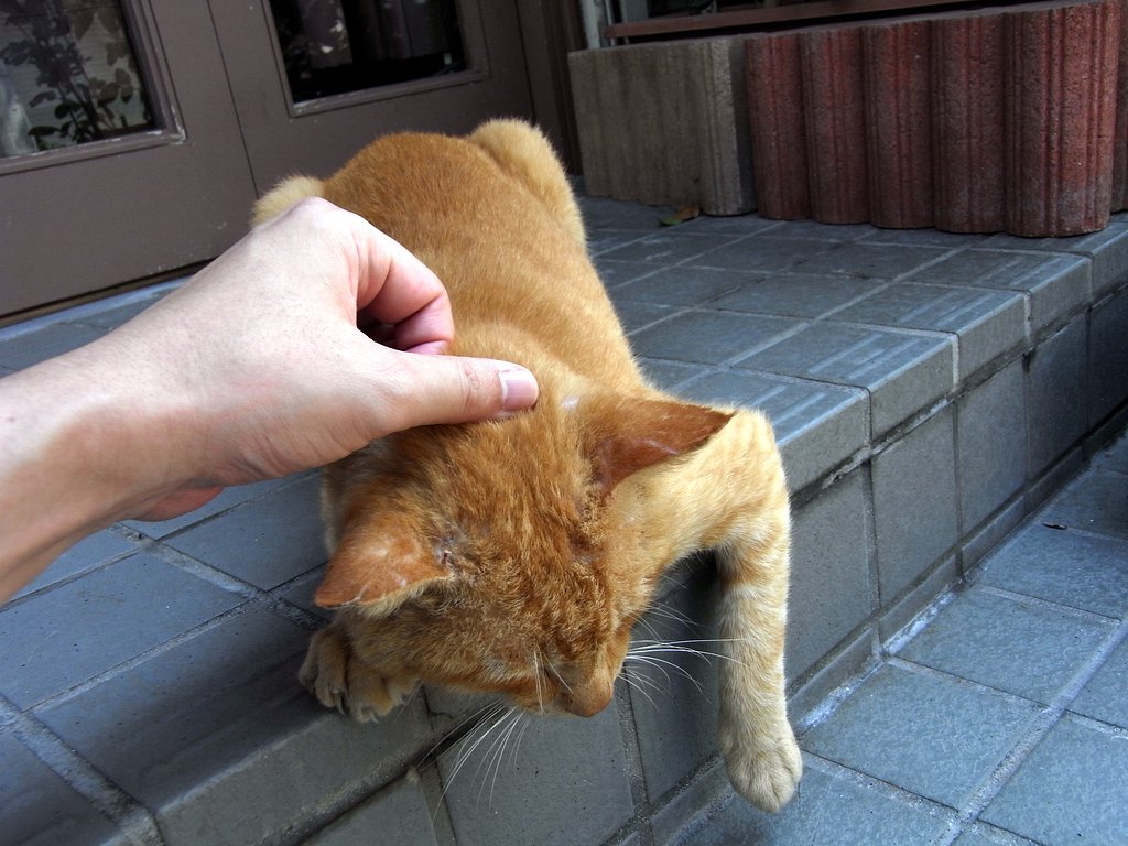 あぁそこそこ・・・