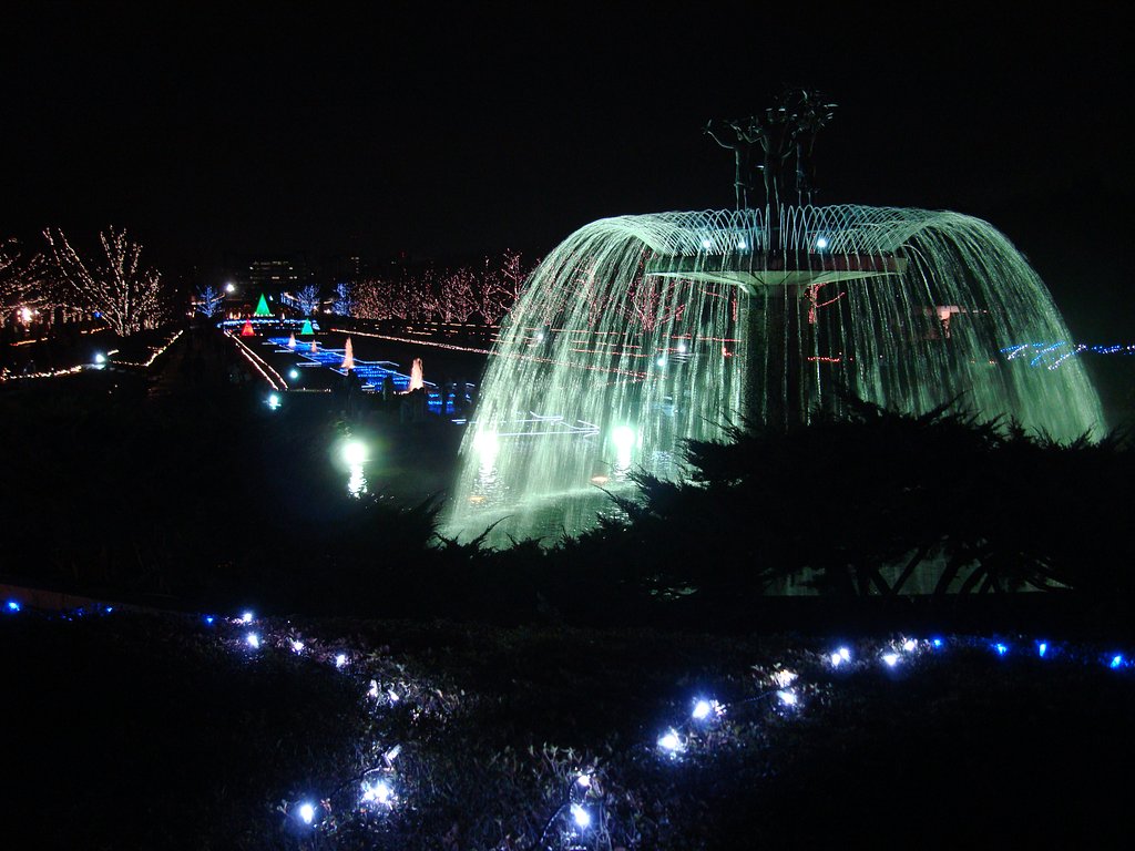 クリスマスの風景