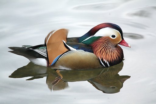 恋する色