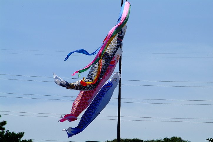 ご無沙汰いたしていました