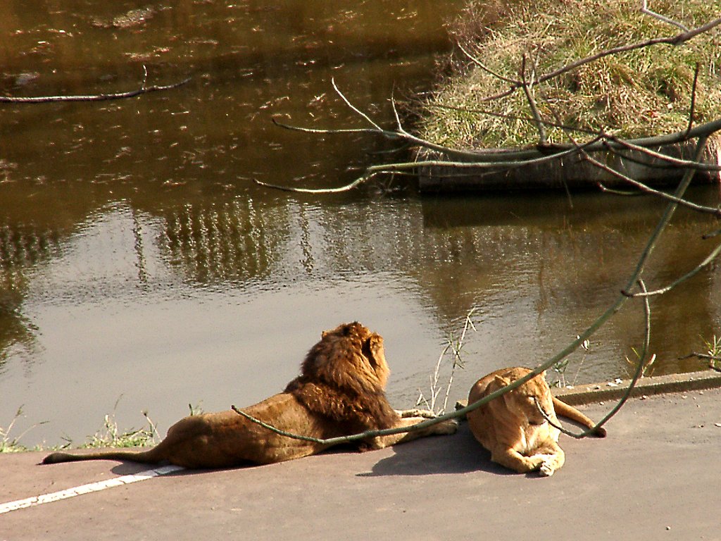 ◆冬の動物園から-50