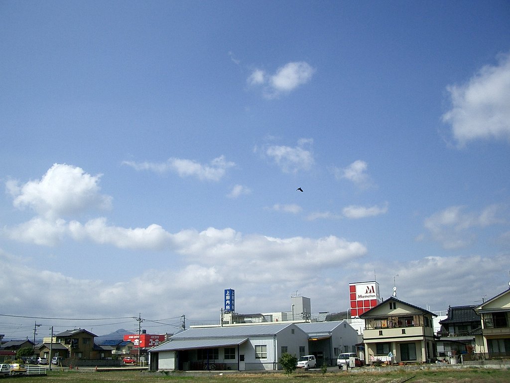 晴れました