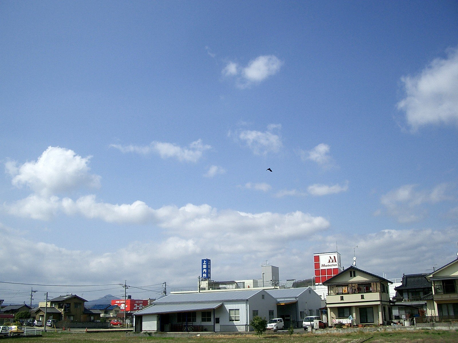 晴れました