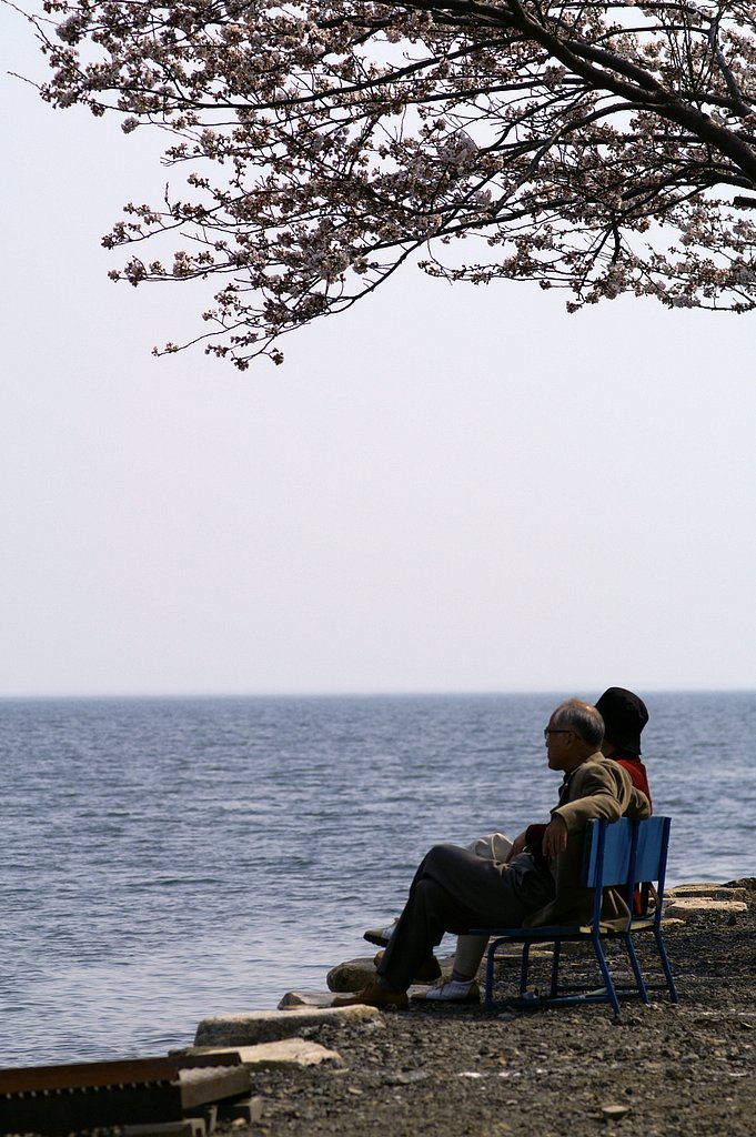 海津大崎から