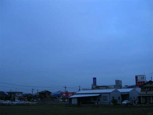 今日も曇り