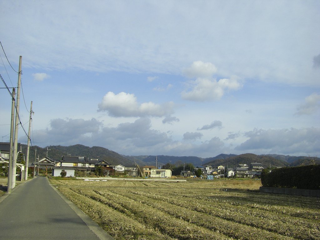 一本道
