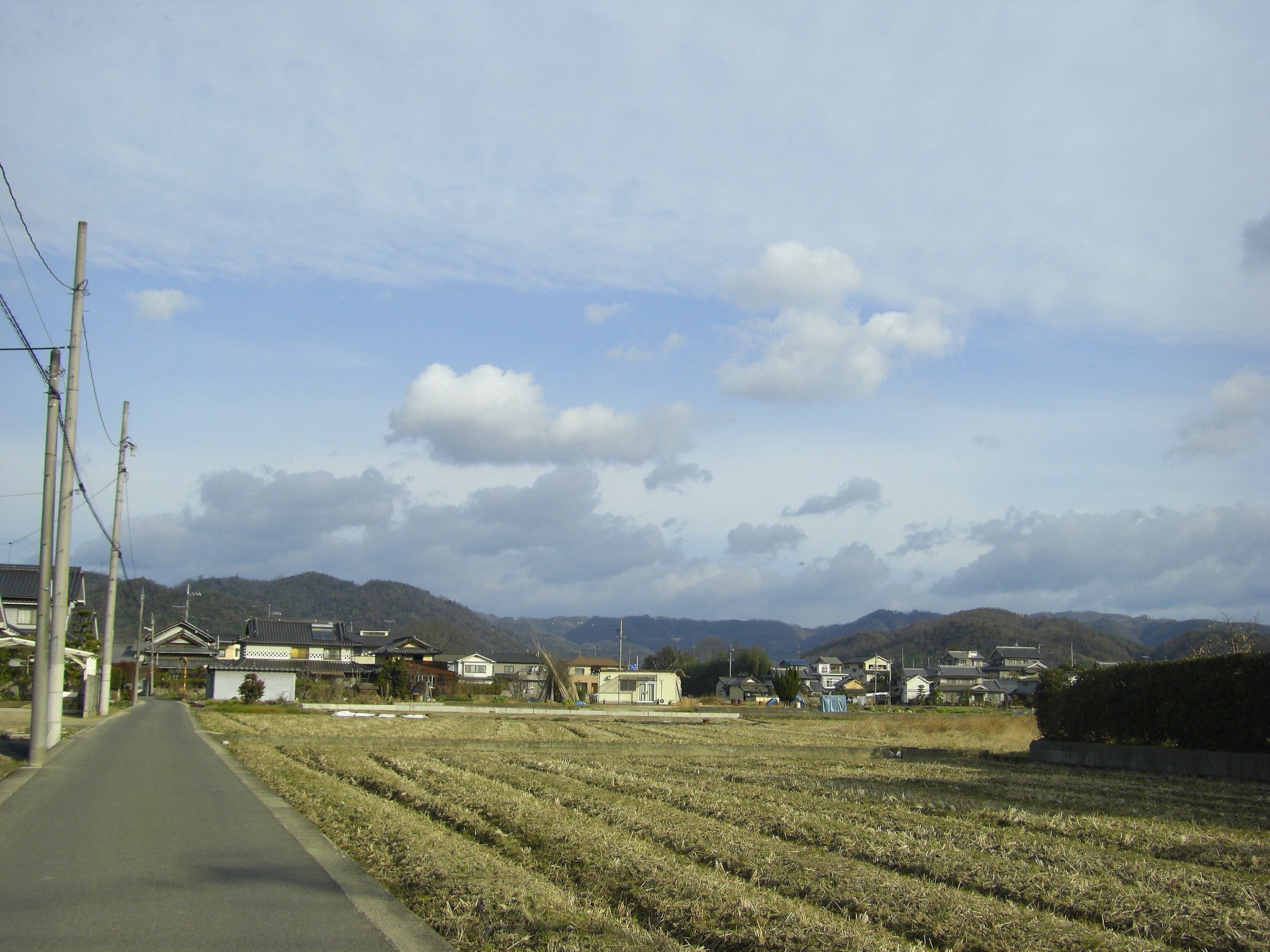 一本道