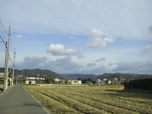 一本道