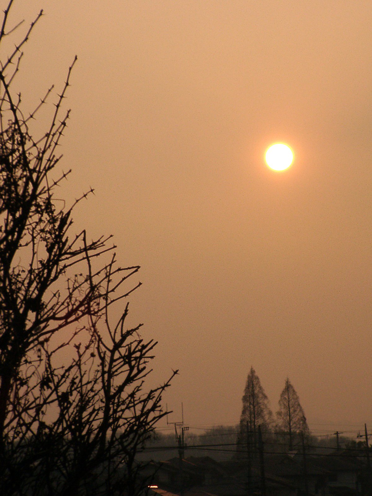 ▲日本画風の夕暮れ-25