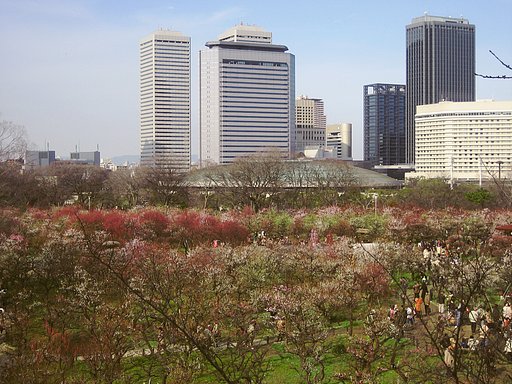 梅林と大阪城ホール