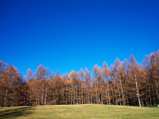 青く・・・