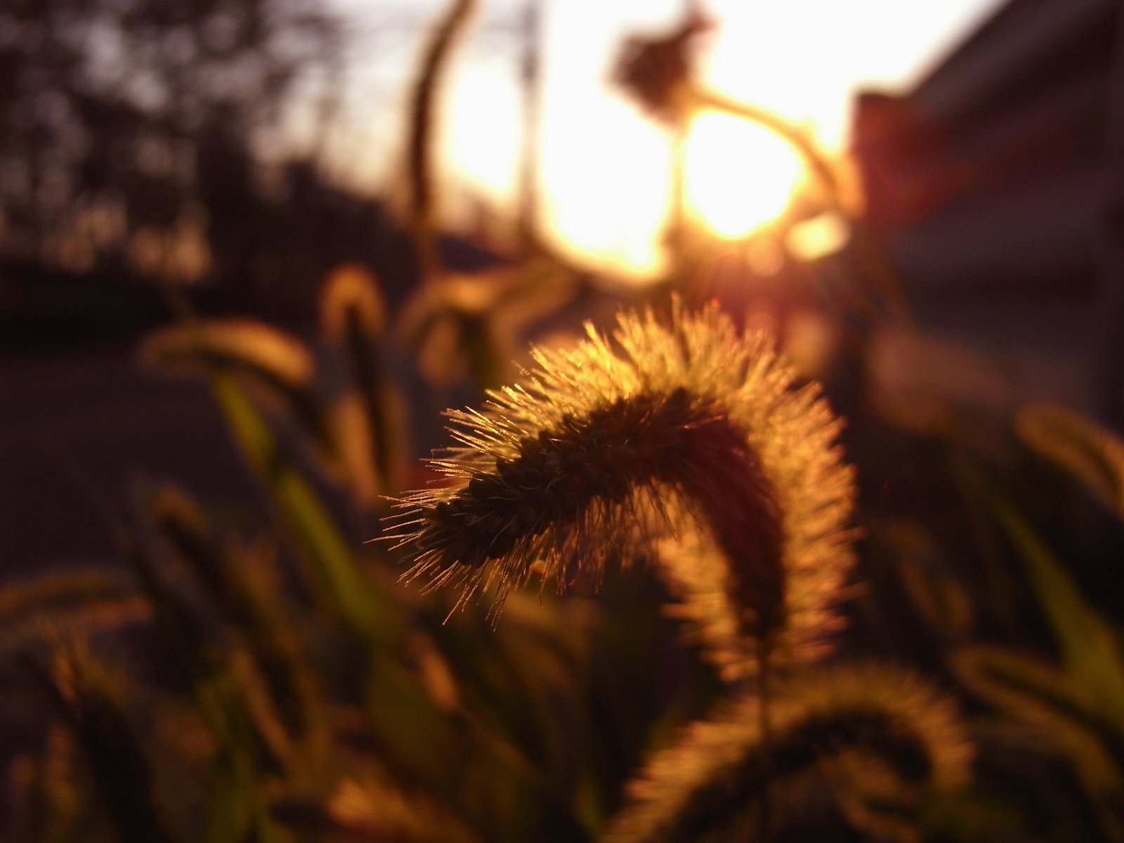 夕景２