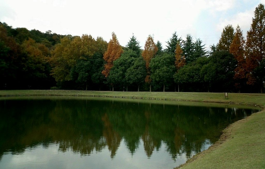 黄色混じりの良い景色