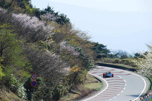 翔ける！　桜のコーナーを