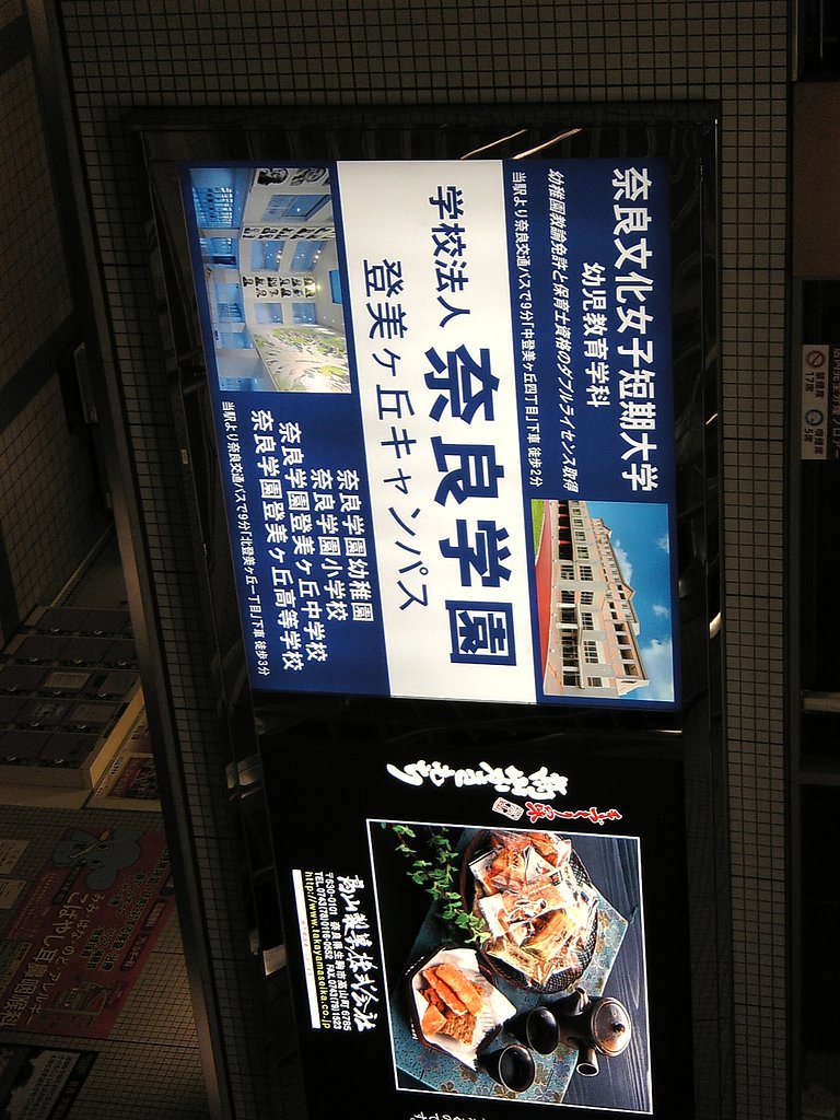 携帯カメラのテスト