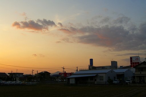焼けました