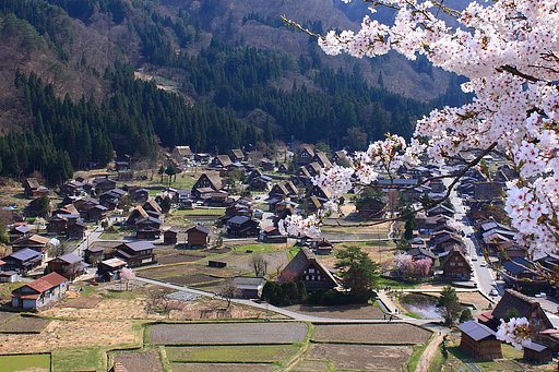 いなかの春