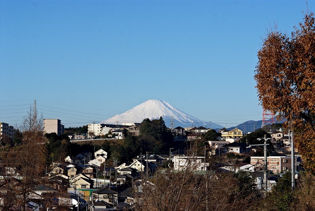 「２００８」さ、さむい〜〜
