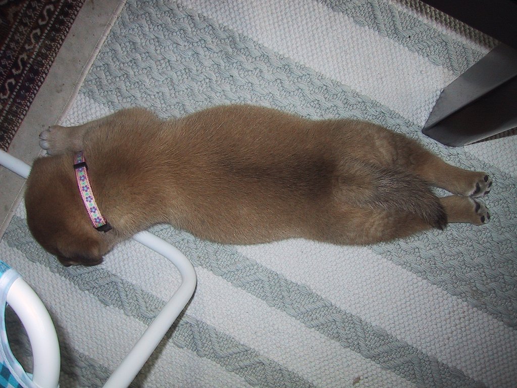 七年前の写真ですが・・