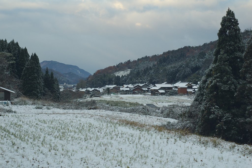 山里に雪が！