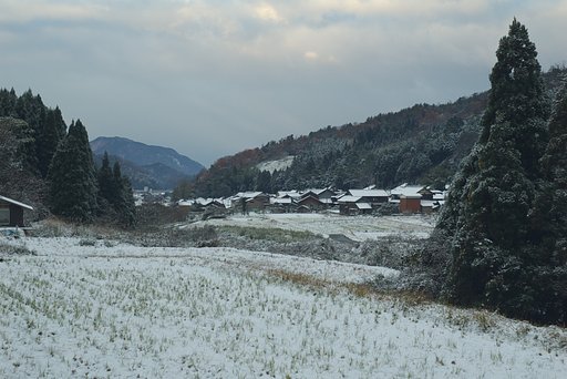 山里に雪が！