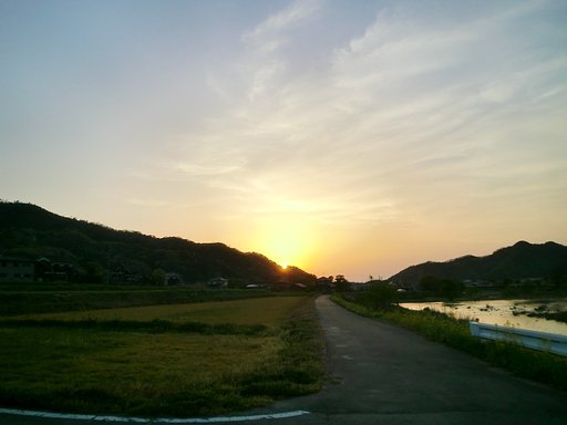 黄金色の夕焼け