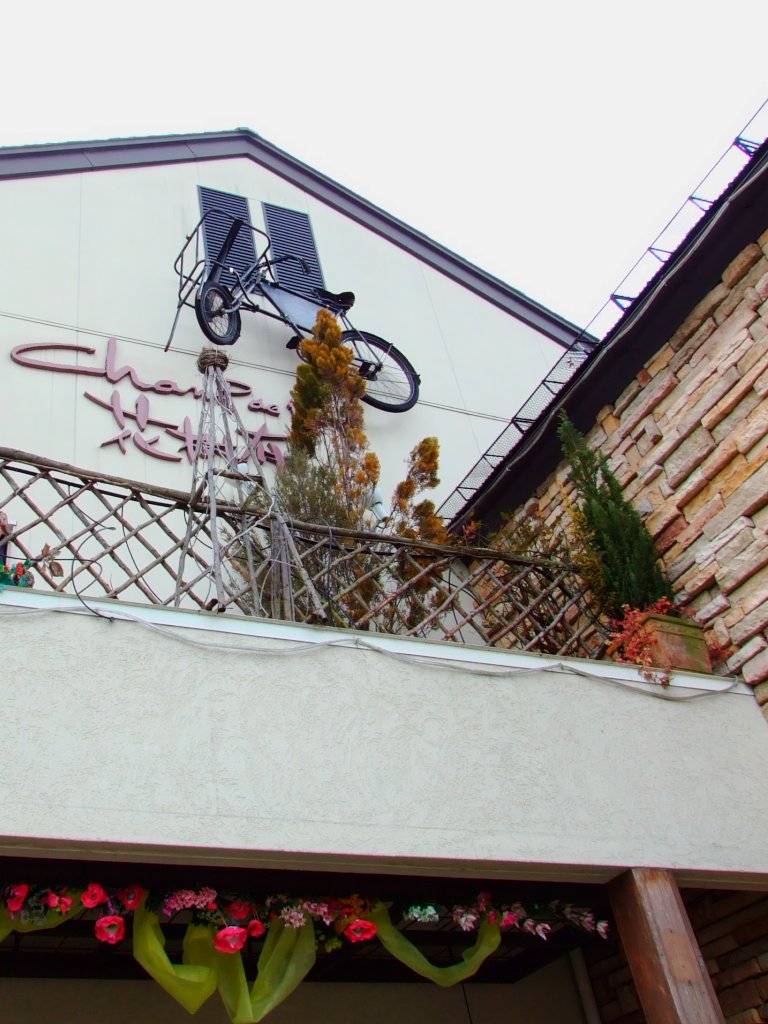 花屋さんの自転車