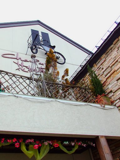 花屋さんの自転車