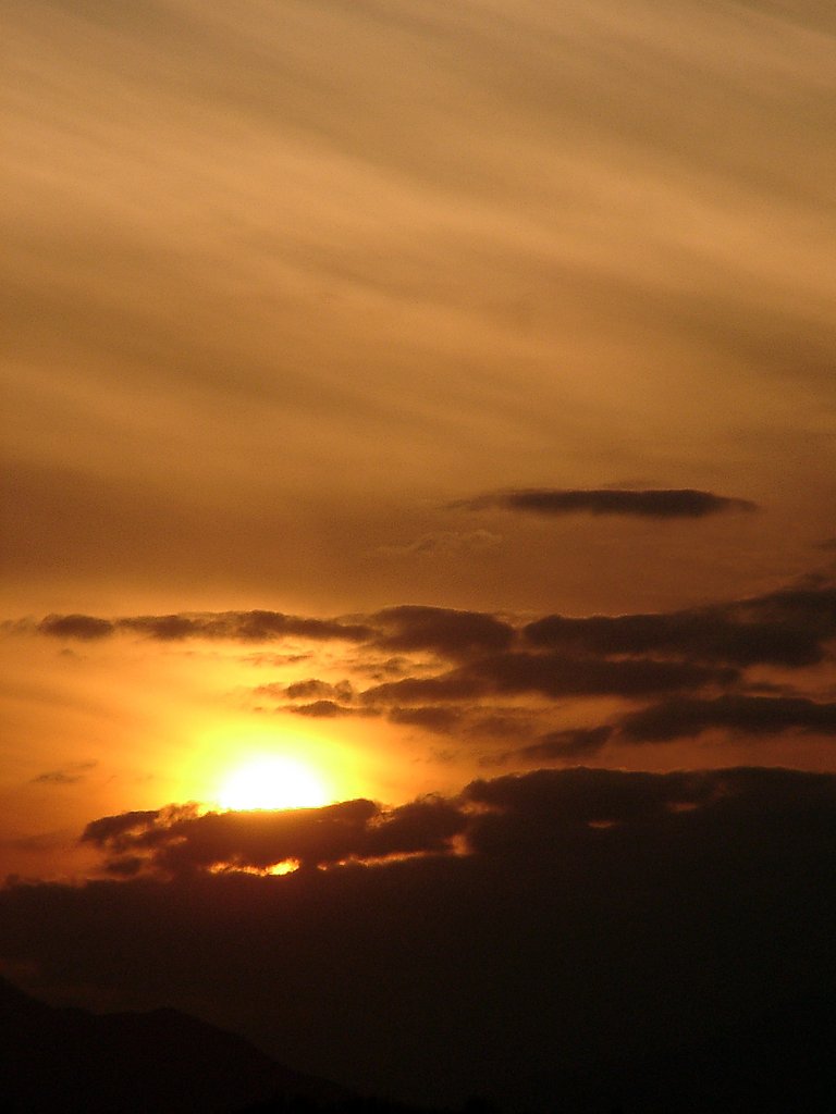 ▲日本画風の夕暮れ-03