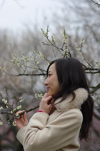 白梅と美女・・・
