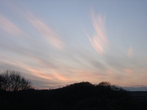 ▲日本画風の夕暮れ-06