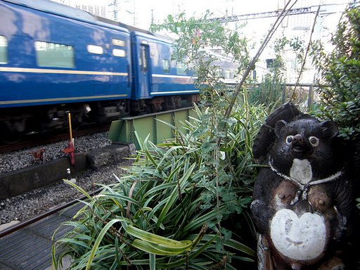 有楽町駅の狸と寝台特急富士