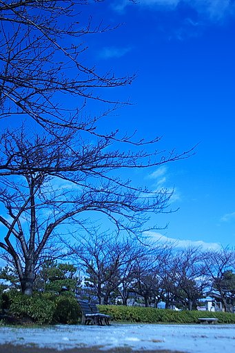 冬の空