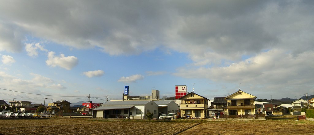 風は止んで