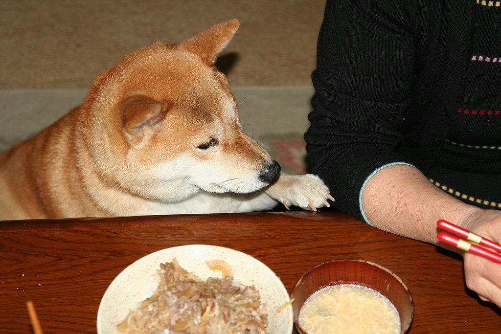“オネダ”リン