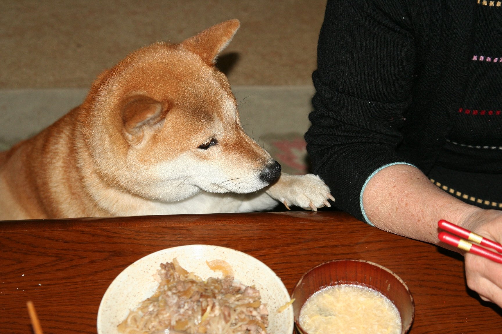 “オネダ”リン